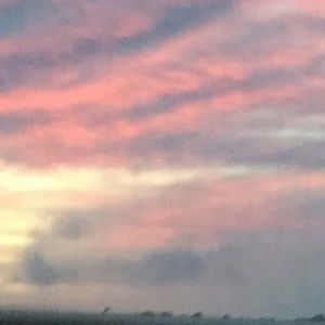 Meet your Posher, Dolores